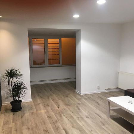 Apartment City Center Пітешть Екстер'єр фото
